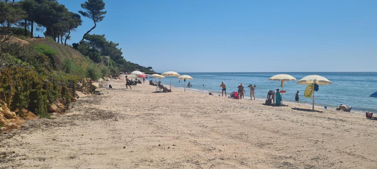 Willa Jungle House - Pineta Is Morus Santa Margherita di Pula Zewnętrze zdjęcie