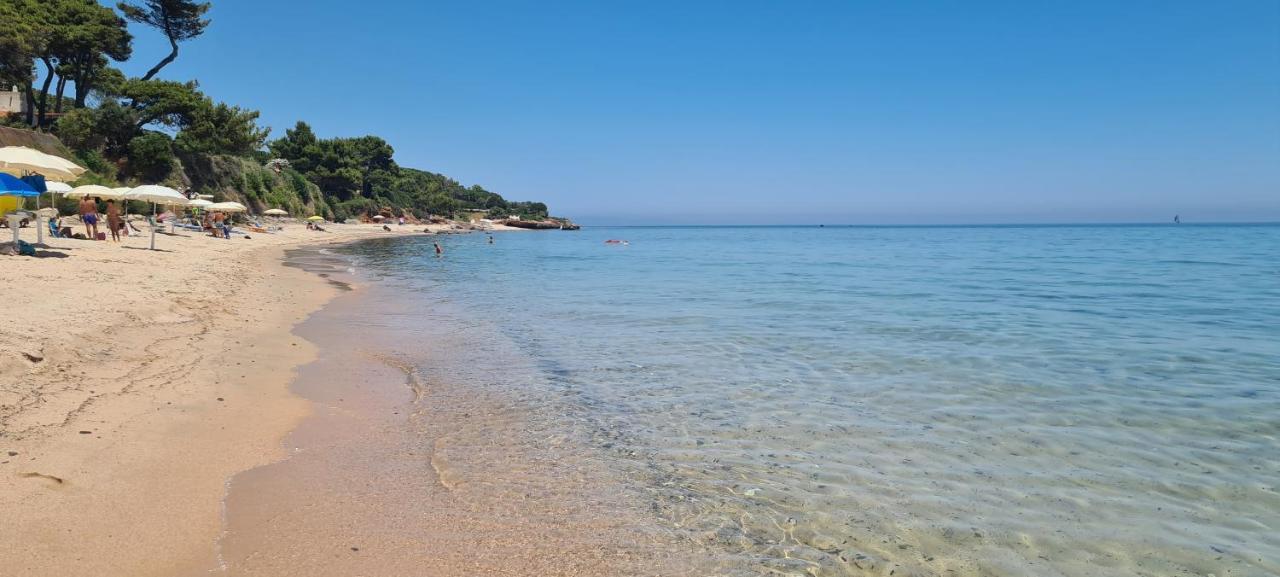 Willa Jungle House - Pineta Is Morus Santa Margherita di Pula Zewnętrze zdjęcie