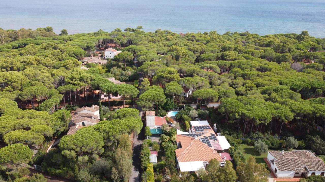 Willa Jungle House - Pineta Is Morus Santa Margherita di Pula Zewnętrze zdjęcie