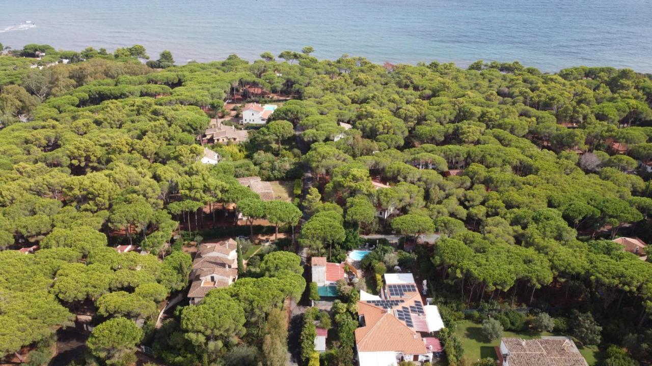 Willa Jungle House - Pineta Is Morus Santa Margherita di Pula Zewnętrze zdjęcie