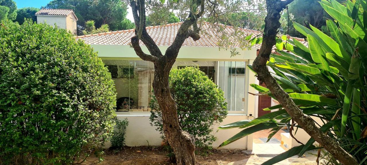 Willa Jungle House - Pineta Is Morus Santa Margherita di Pula Zewnętrze zdjęcie