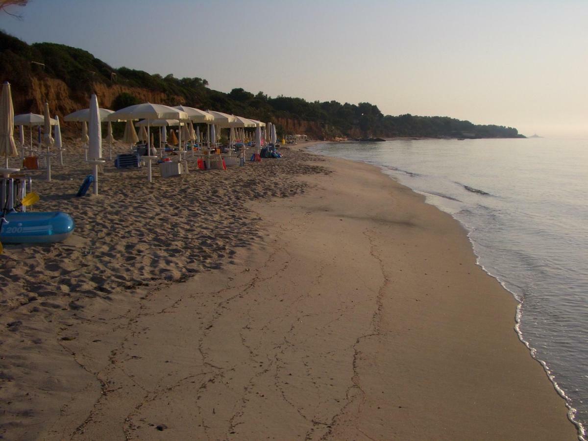 Willa Jungle House - Pineta Is Morus Santa Margherita di Pula Zewnętrze zdjęcie
