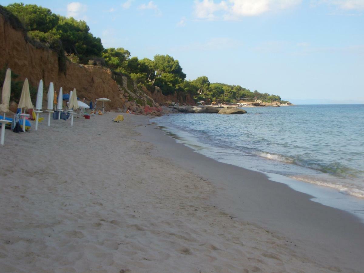 Willa Jungle House - Pineta Is Morus Santa Margherita di Pula Zewnętrze zdjęcie
