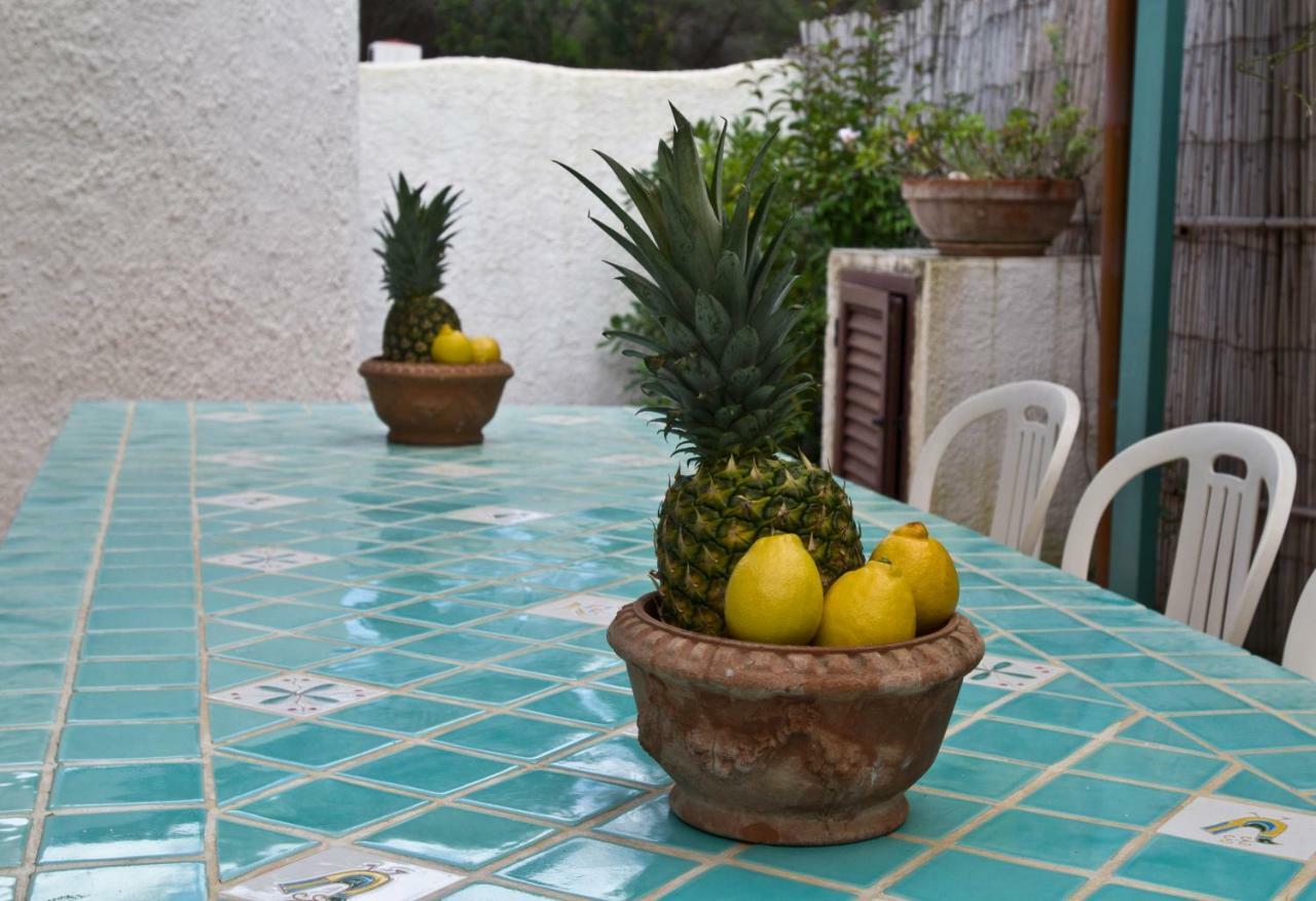 Willa Jungle House - Pineta Is Morus Santa Margherita di Pula Zewnętrze zdjęcie