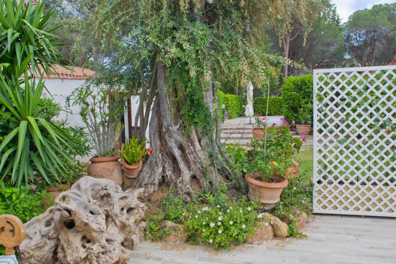 Willa Jungle House - Pineta Is Morus Santa Margherita di Pula Zewnętrze zdjęcie